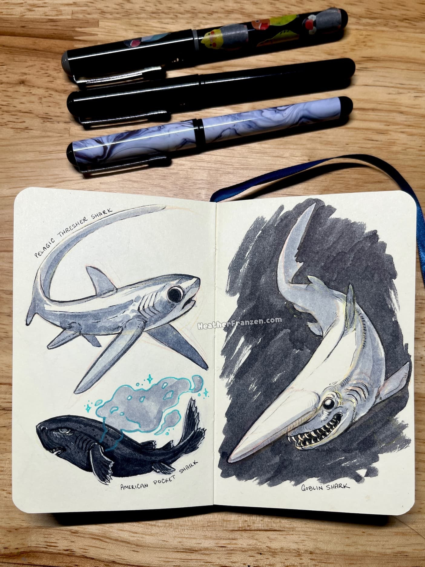 Sketchbook opened to a spread of unusual sharks: the Pelagic Thresher Shark, American Pocket Shark, and Goblin Shark. Three pens are arranged above the sketchbook.