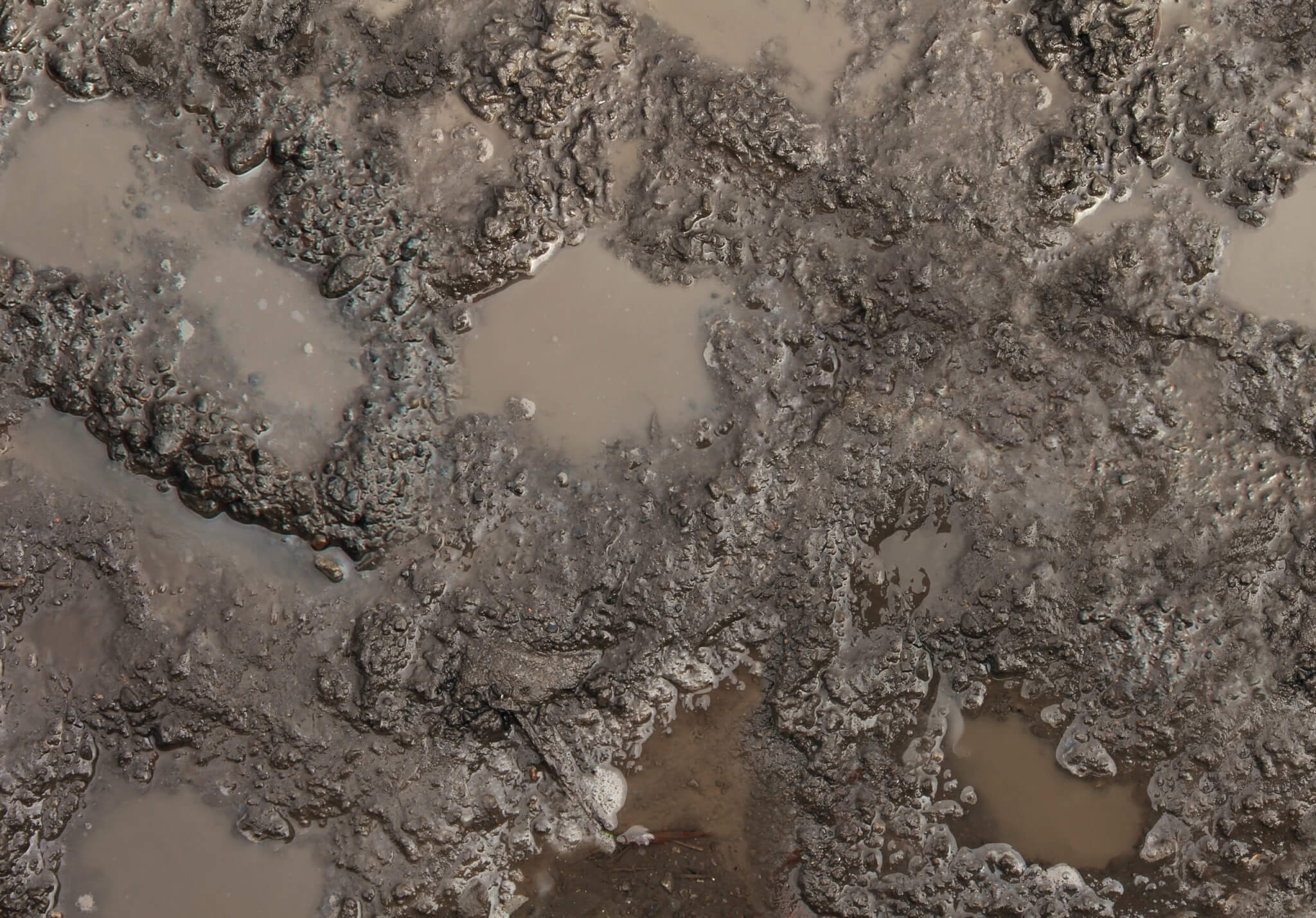 muddy ground