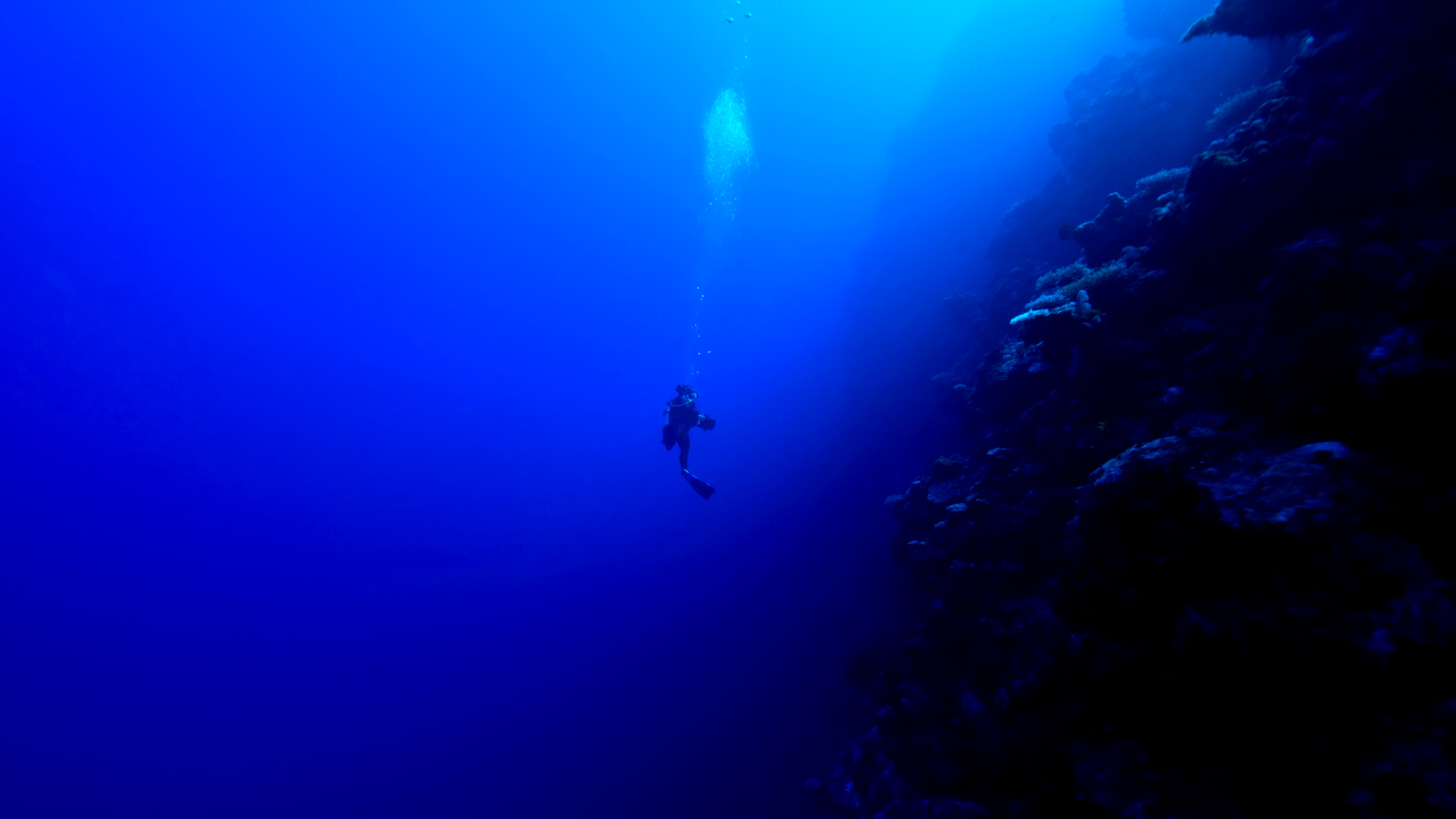 a scuba diver deep in the ocean looking up