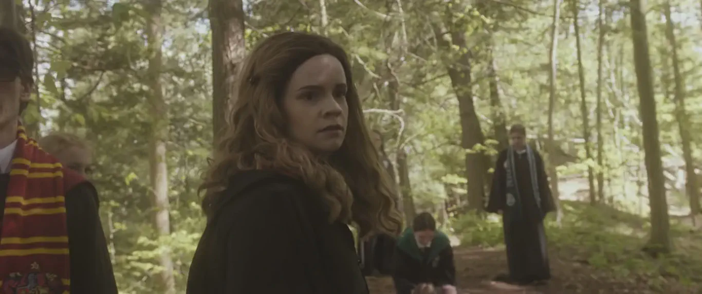Hermione Granger (Kari Lewis)