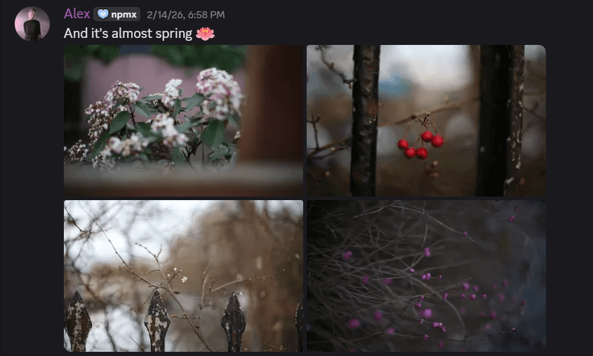 Discord message from a user saying 'And it’s almost spring 🌸' with a grid of four photos showing early spring nature: blooming flowers, red berries on branches, bare branches near a fence, and small pink blossoms against a blurred background.