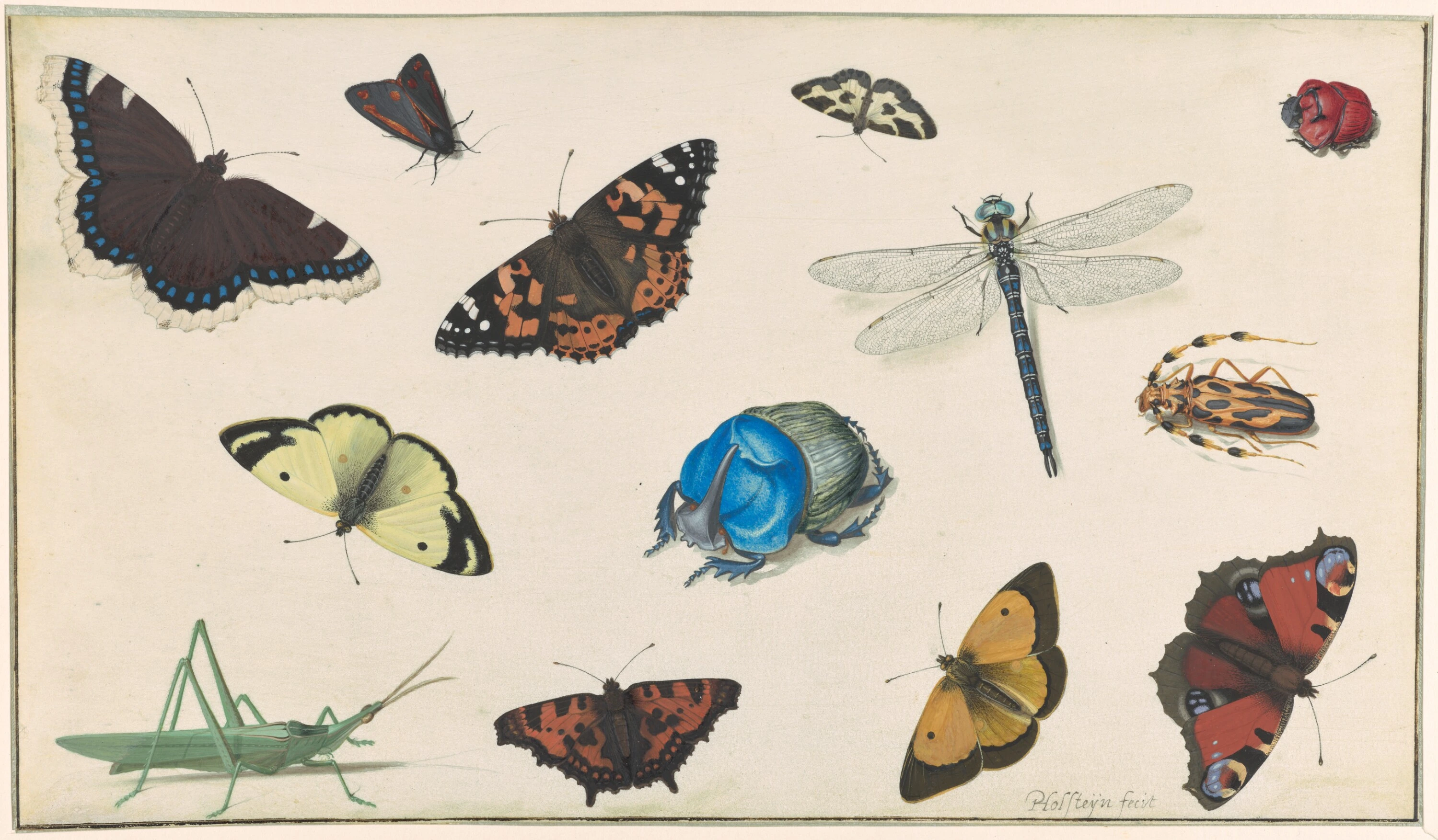https://www.getty.edu/art/collection/object/114VET
Sheet of Studies of a Dragonfly, Grasshopper, Butterflies, Moths, and Beetles
about 1636
Pieter Holsteyn II