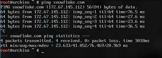 Ping funcionando corretamente, mostrando:
PING snowfloke.com
64 bytes from (ip): time =36.5ms