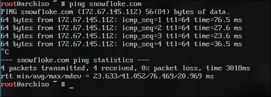 Ping funcionando corretamente, mostrando:
PING snowfloke.com
64 bytes from (ip): time =36.5ms