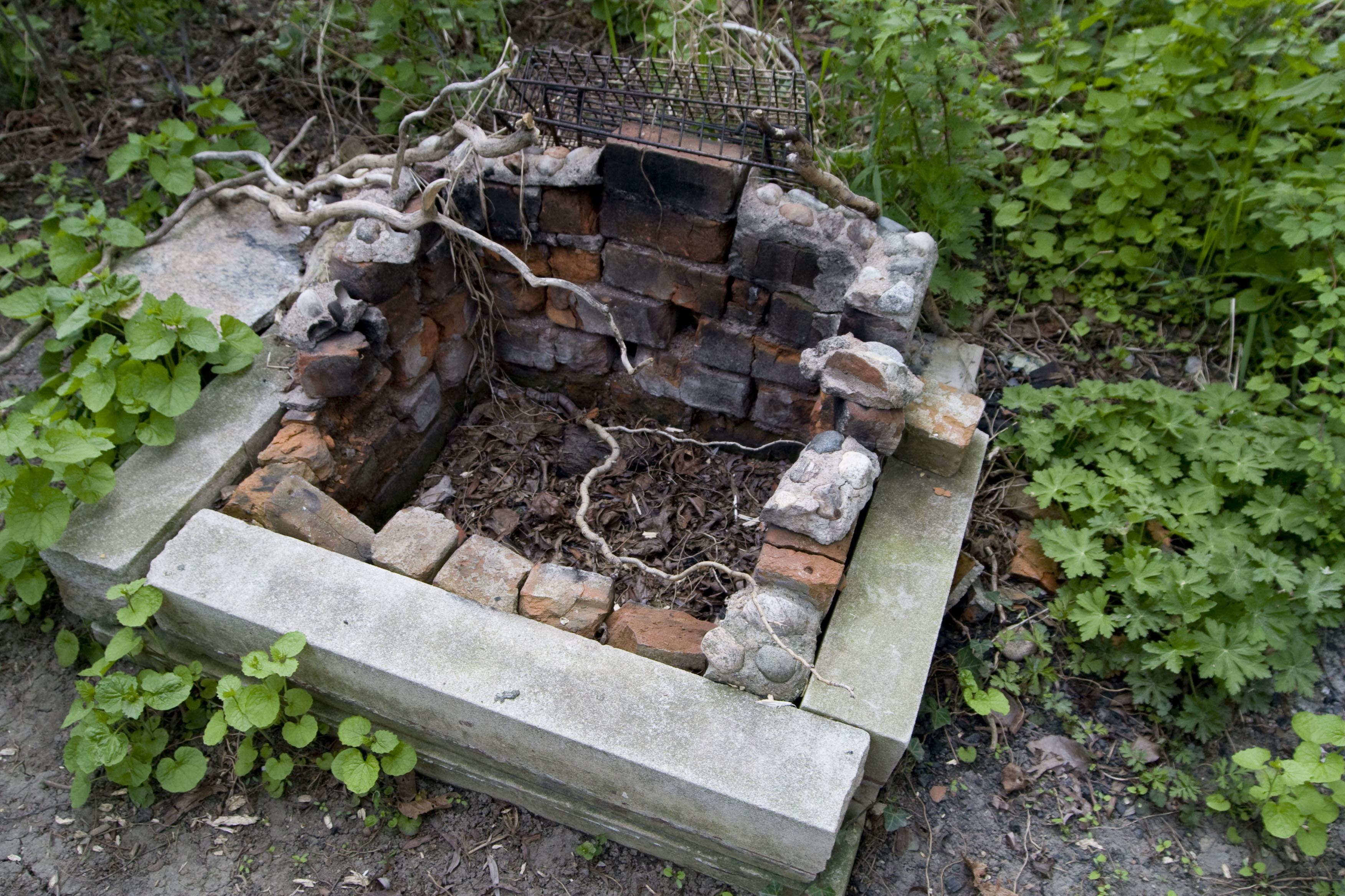 The base of an old chimney, with old bricks in a square, with mulch in the bottom. Vines and ground cover encircle and entwine around it.
