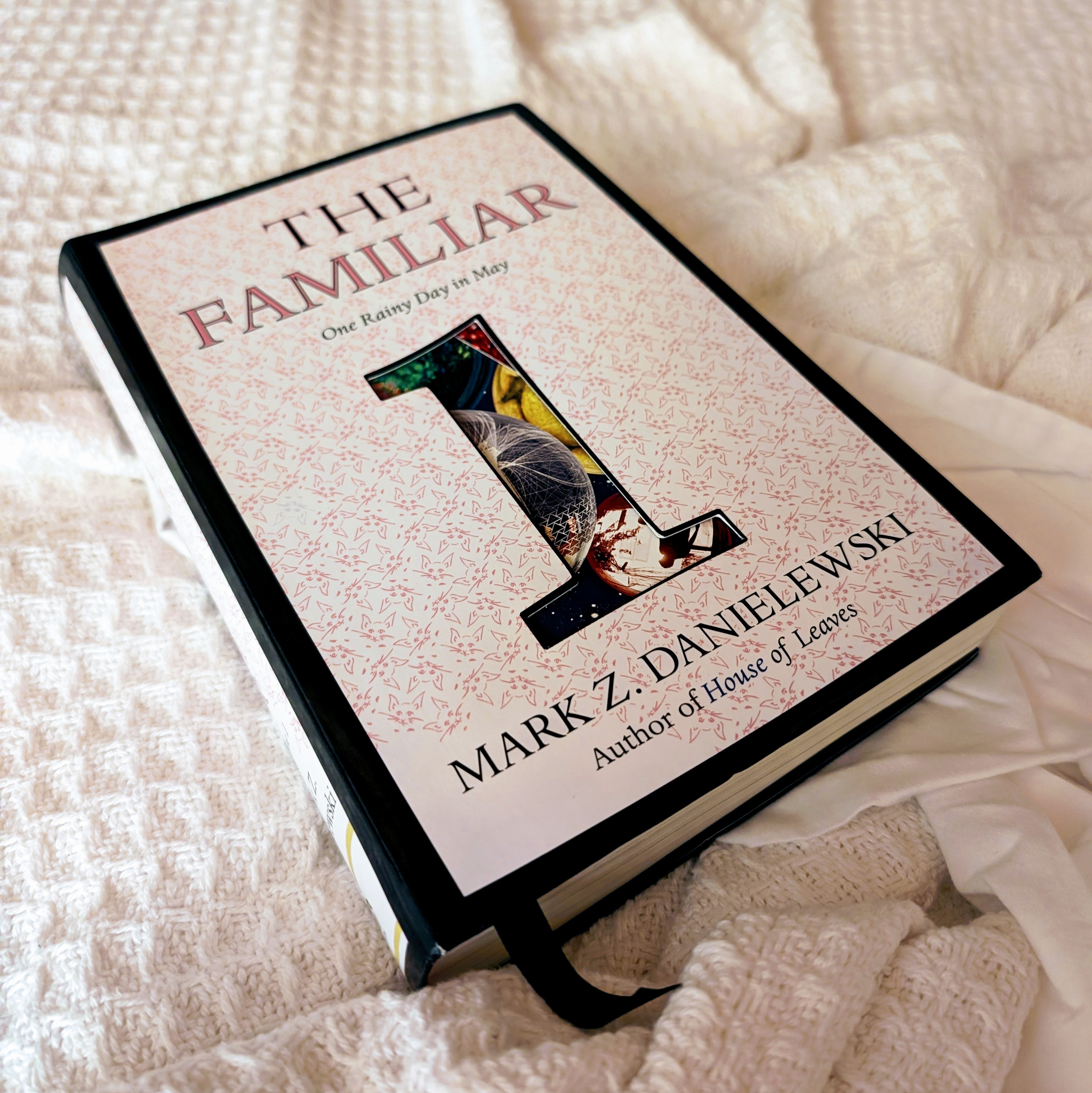 Cover of "The Familiar: One Rainy Day in May"