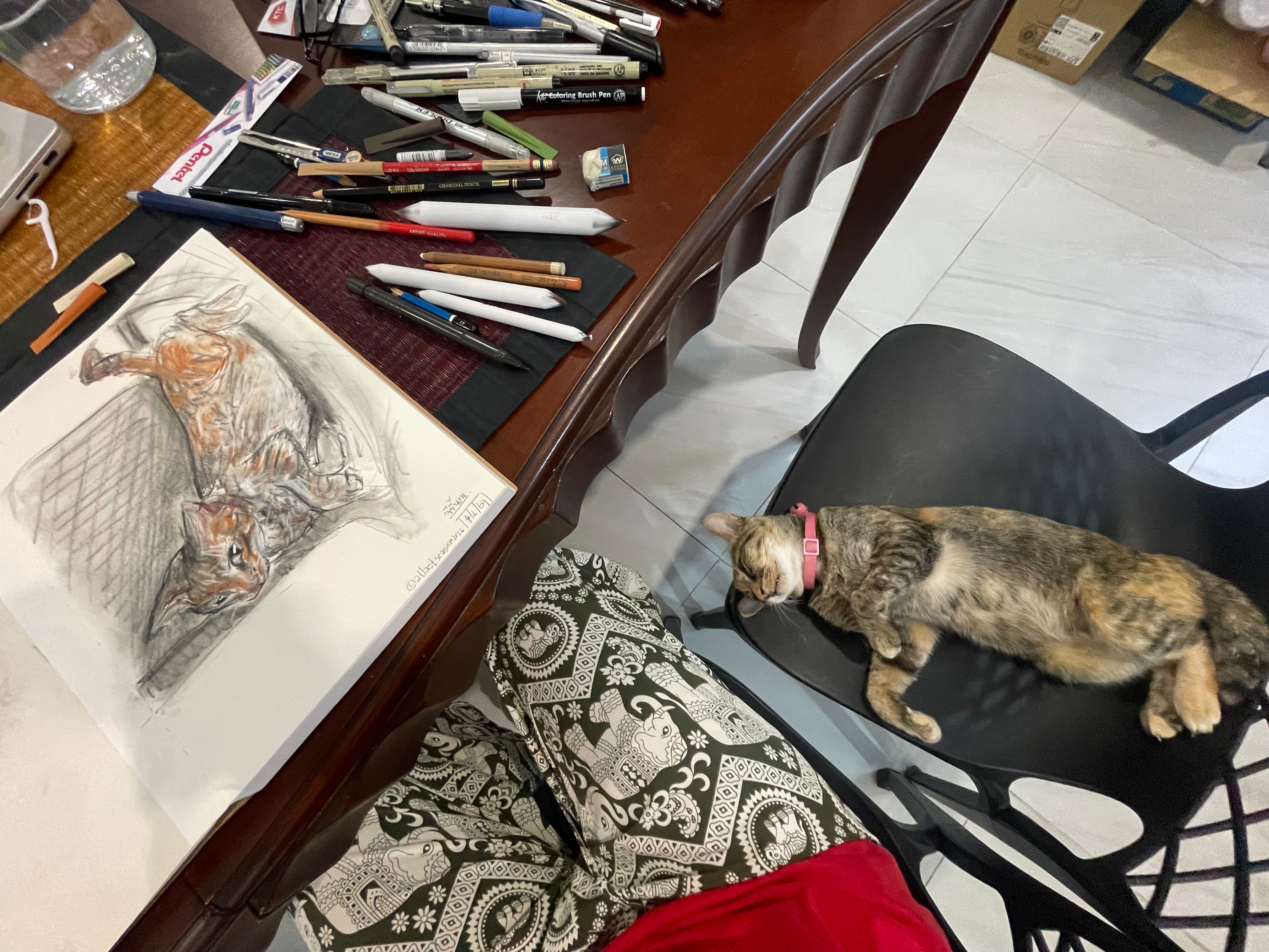 Cat sleeping on the chair with her portraits in sketchbook on the table