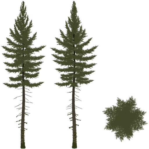 tall pine with moss from the game files