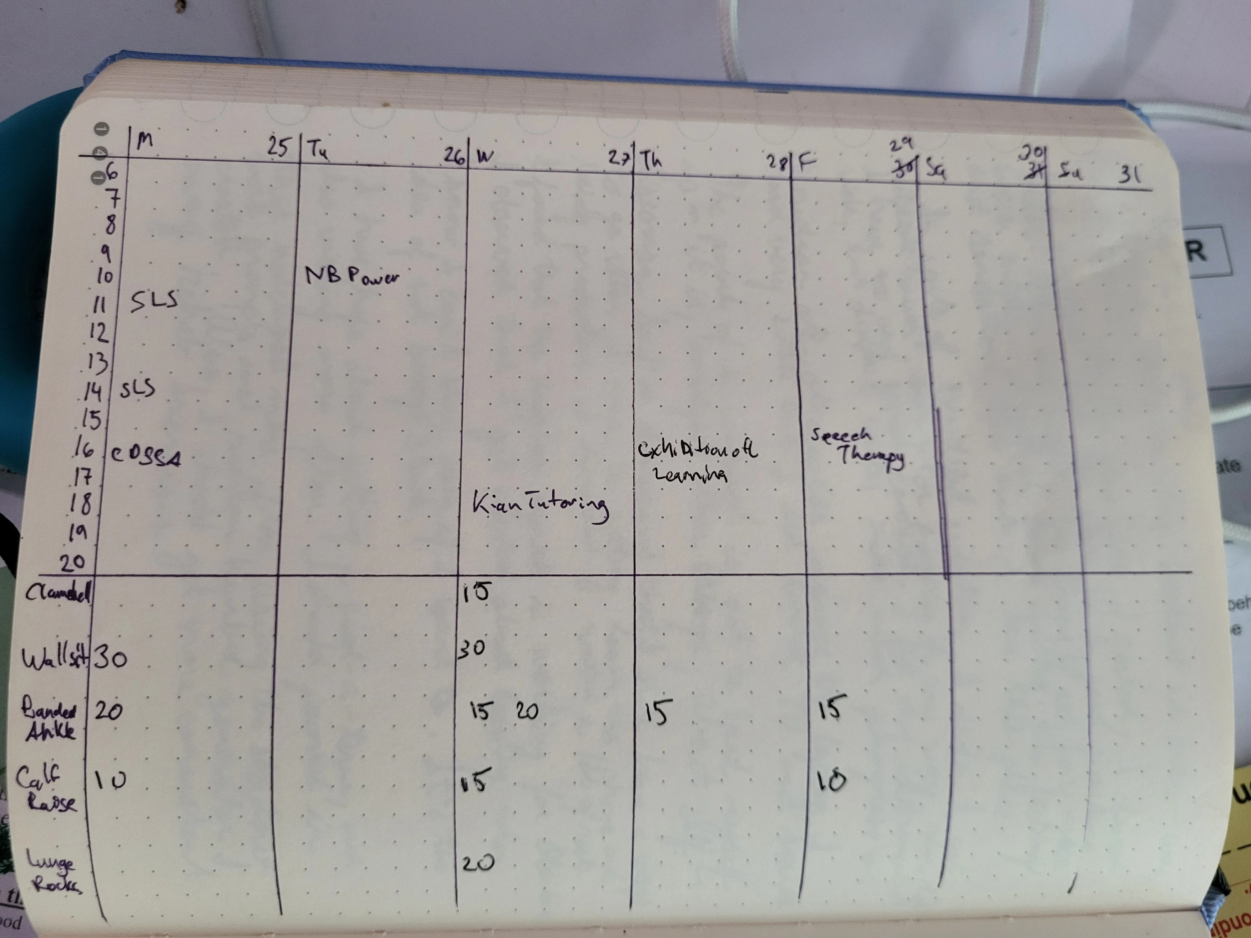 a notebook page showing a grid of Monday to Friday, 6AM to 8PM, with rehab exercises being tracked at the bottom.