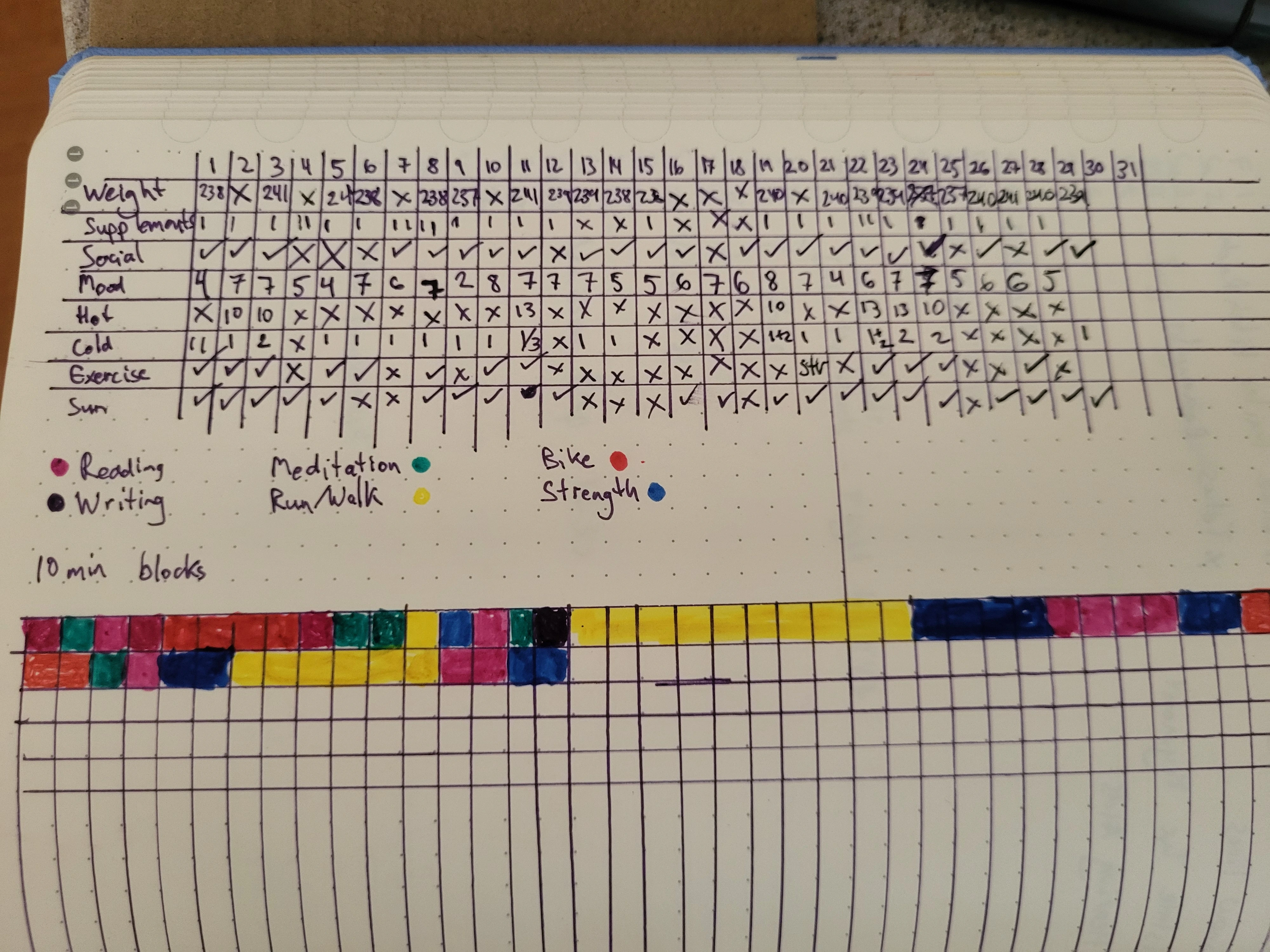 a page with a grid of tracked habits in the top half and a grid with coloured squares (pink is Reading, Green is meditation, blue is Strength Workout, etc.)