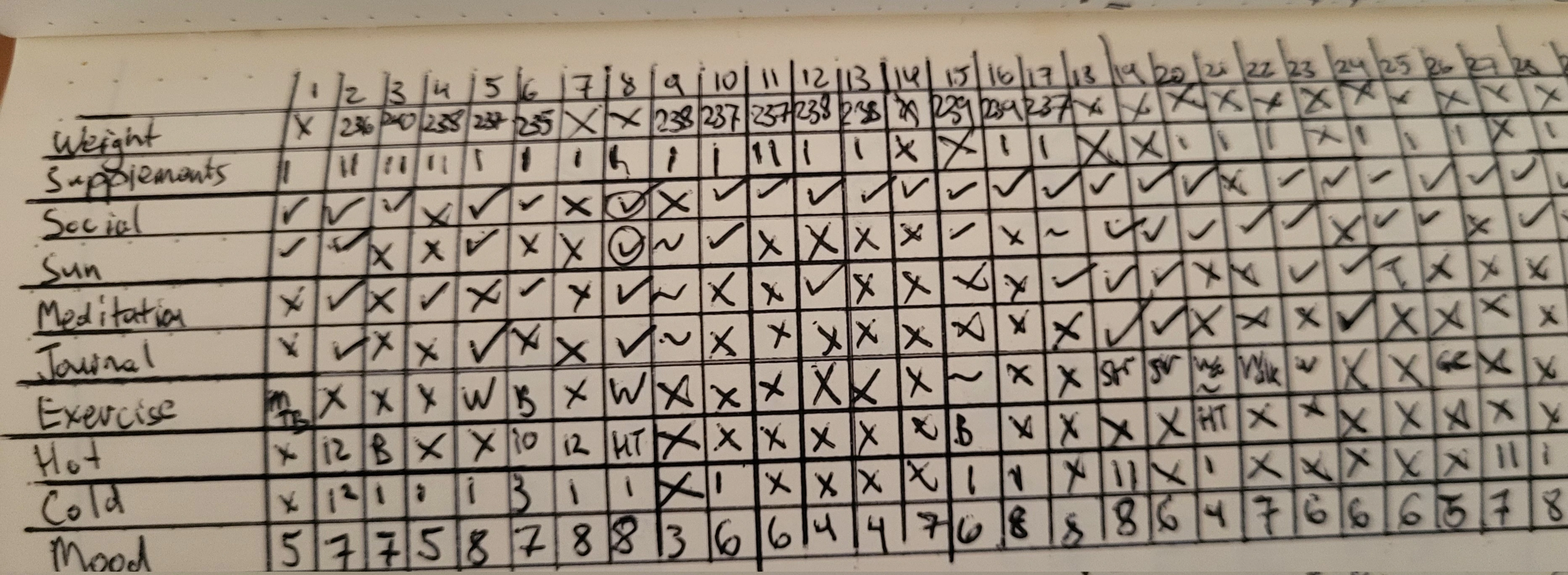 A grid for daily tracking of wellness practices.  Some daily practices are yes/no, some are numbered quantities, some use a letter symbol.