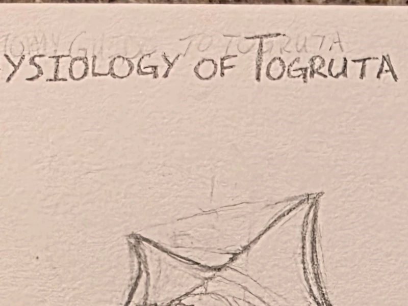 Photo of a sketchbook page taken with the standard photo mode on my cellphone.