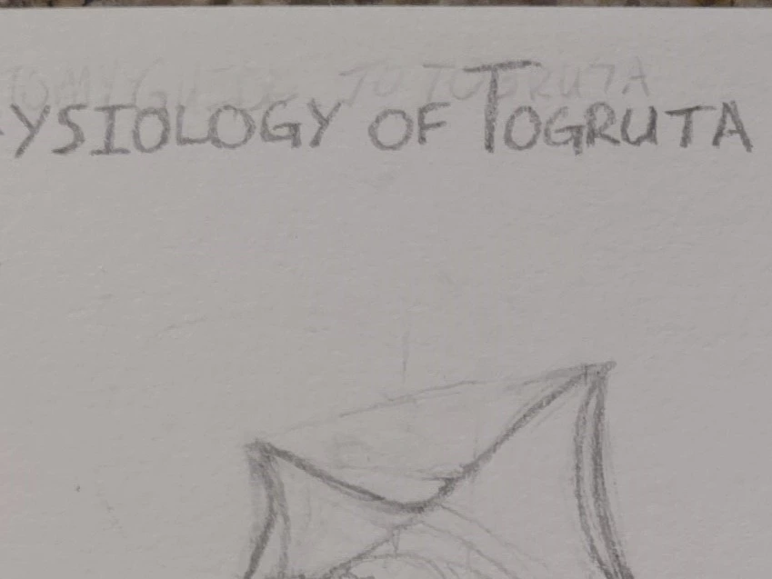 Photo of sketchbook page taken with the Pro photo mode on my cellphone.