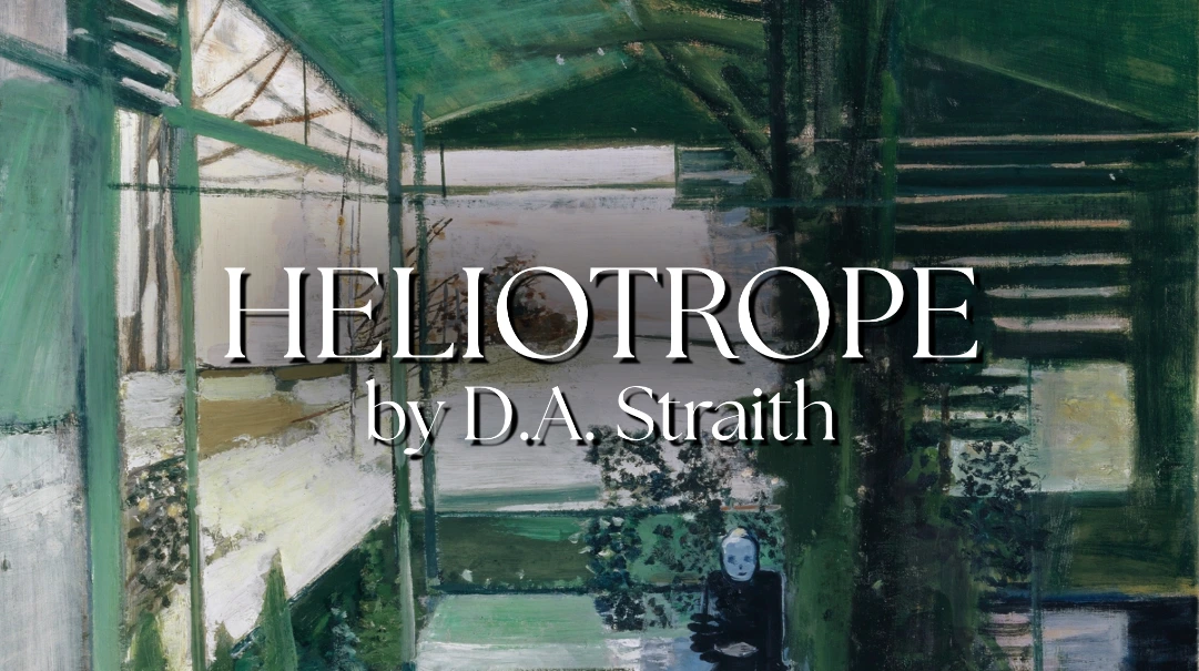 HELIOTROPE, by D.A. Straith. These words are printed in the centre of a detail of a painting of a largely empty greenhouse in which a pale figure in dark clothes sits looking at the viewer.   The painting is "Old Woman in Greenhouse" (1936) by Walter Kurt Wiemken.