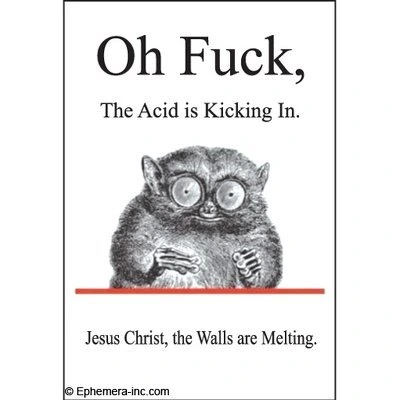 A fake book cover of an O'Reilly book, who were famous for having various animals on their covers despite covering computer related topics.

This particular cover has a small lemur or similar nocturnal animal with huge eyes on it, eyes being wide open. The text on the fake cover says: "Oh Fuck, The Acid is Kicking in. Jesus Christ, the Walls are Melting!

We actually used to have that fake book cover as a poster on the wall of one of my old work places.