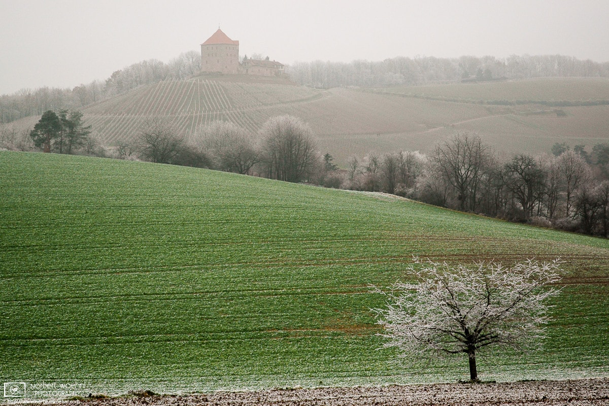 A frosty winter day in the vineyards and orchards around Wildeck Castle in southwestern Germany. © 2004 Norbert Woehnl Photography.