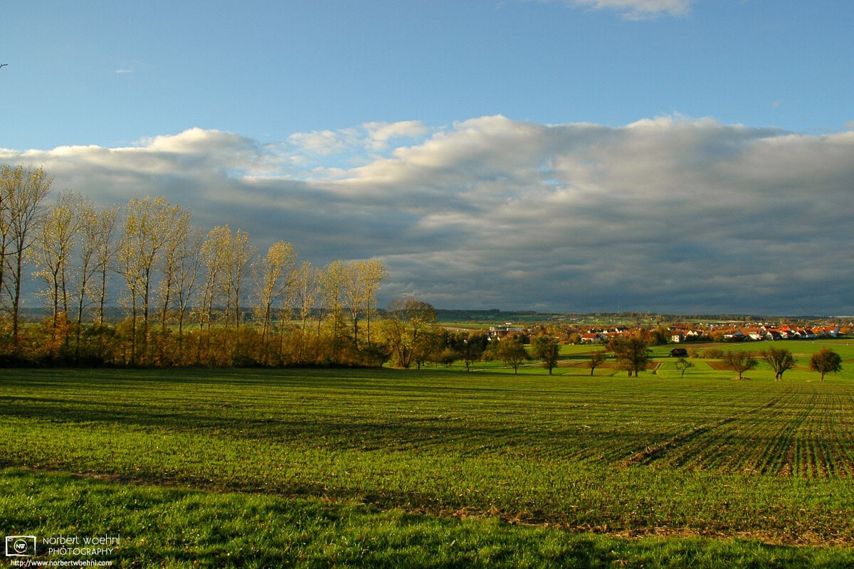Scene from the fields and orchards outside the southwest-German village of Pliezhausen on a sunny autumn afternoon. © 2004 Norbert Woehnl Photography.
