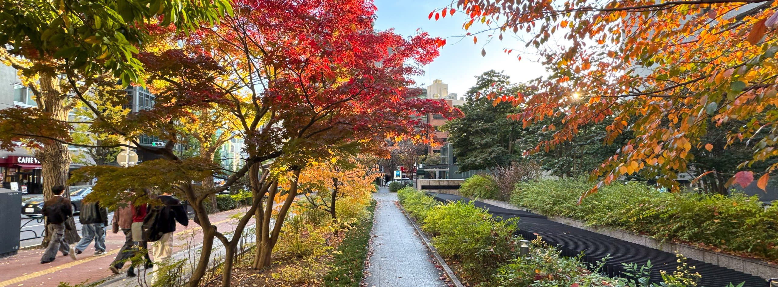 Autumnal street scene in the Kandasurugadai area of Chiyoda Ward in Tokyo, Japan. © 2025 Norbert Woehnl Photography.