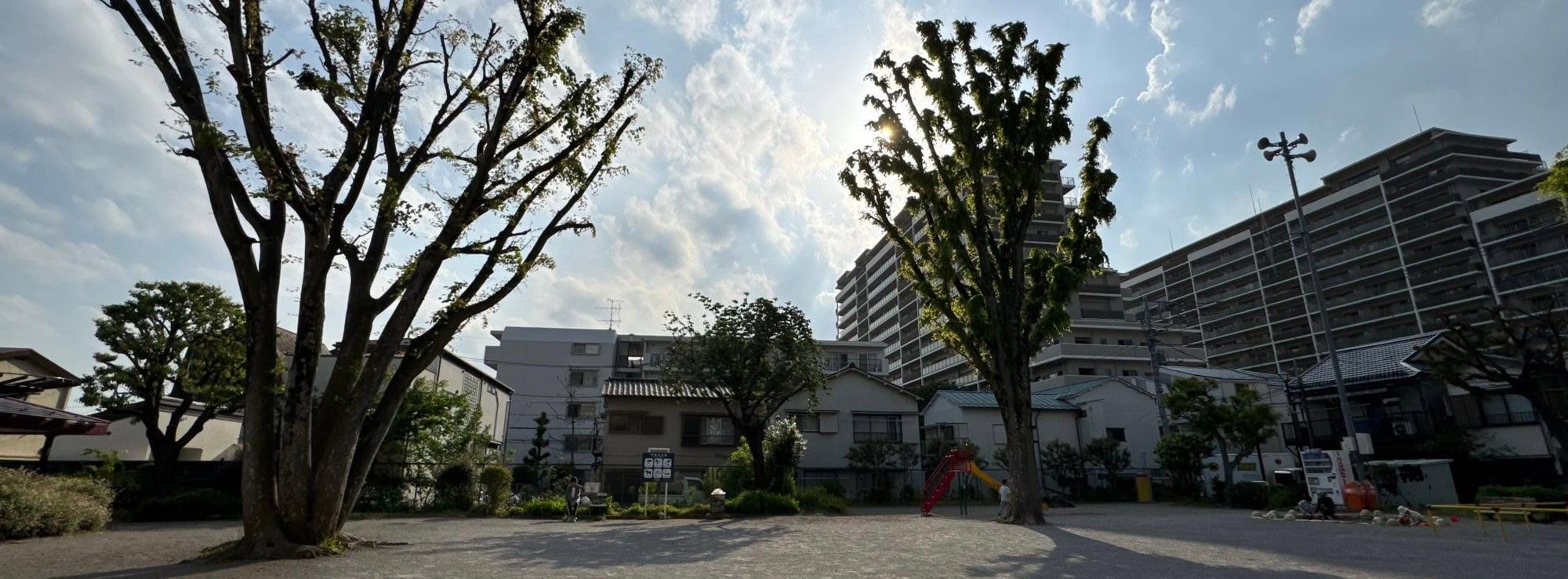 Quiet Sunday afternoon scene at Ohara Park in the Itabashi Ward of Tokyo, Japan. © 2025 Norbert Woehnl Photography.