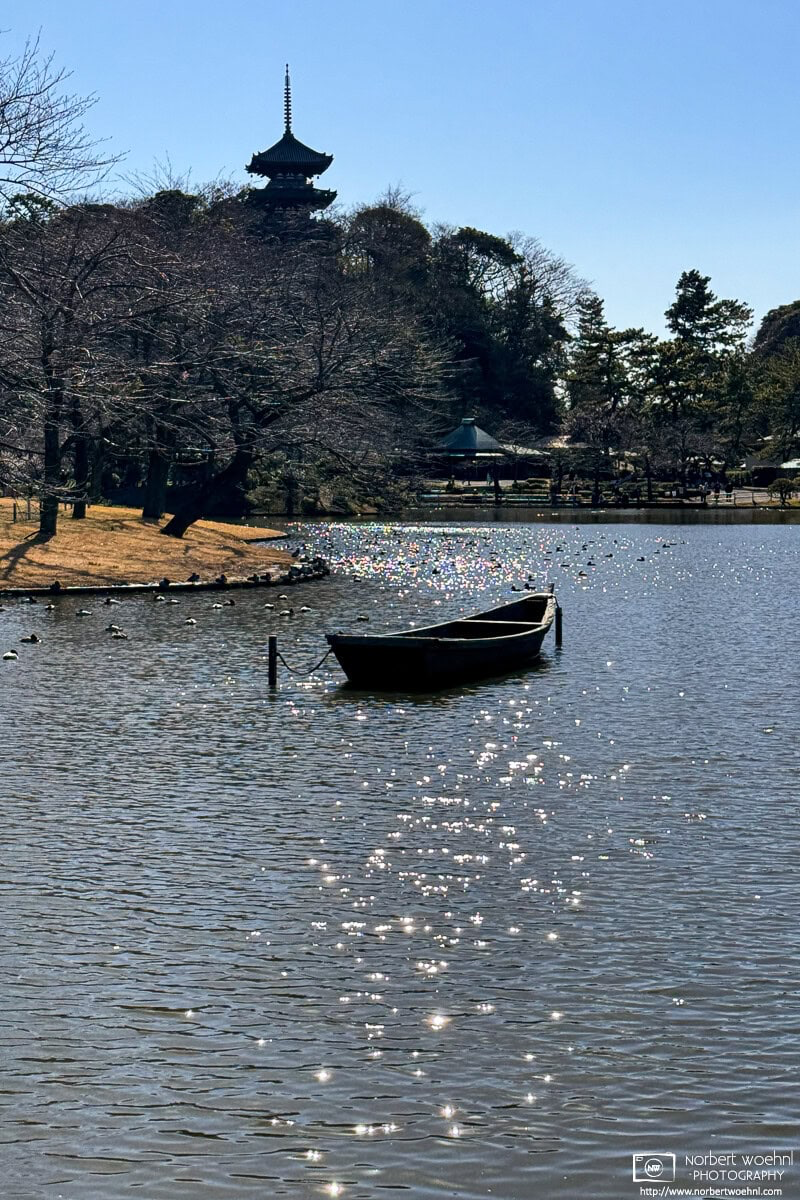 Overlooking the pond at Sankeien Garden in Yokohama, Japan, with a view towards the three-story pagoda at Sankeien Tenmangu Shrine. © 2024 Norbert Woehnl Photography.