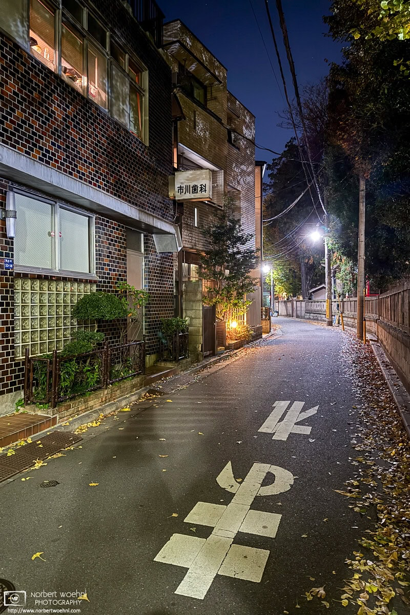 Coming home from work on a late-November evening, I captured this scene on a backstreet in the Miyamotocho area of Itabashi Ward in Tokyo, Japan. © 2025 Norbert Woehnl Photography.