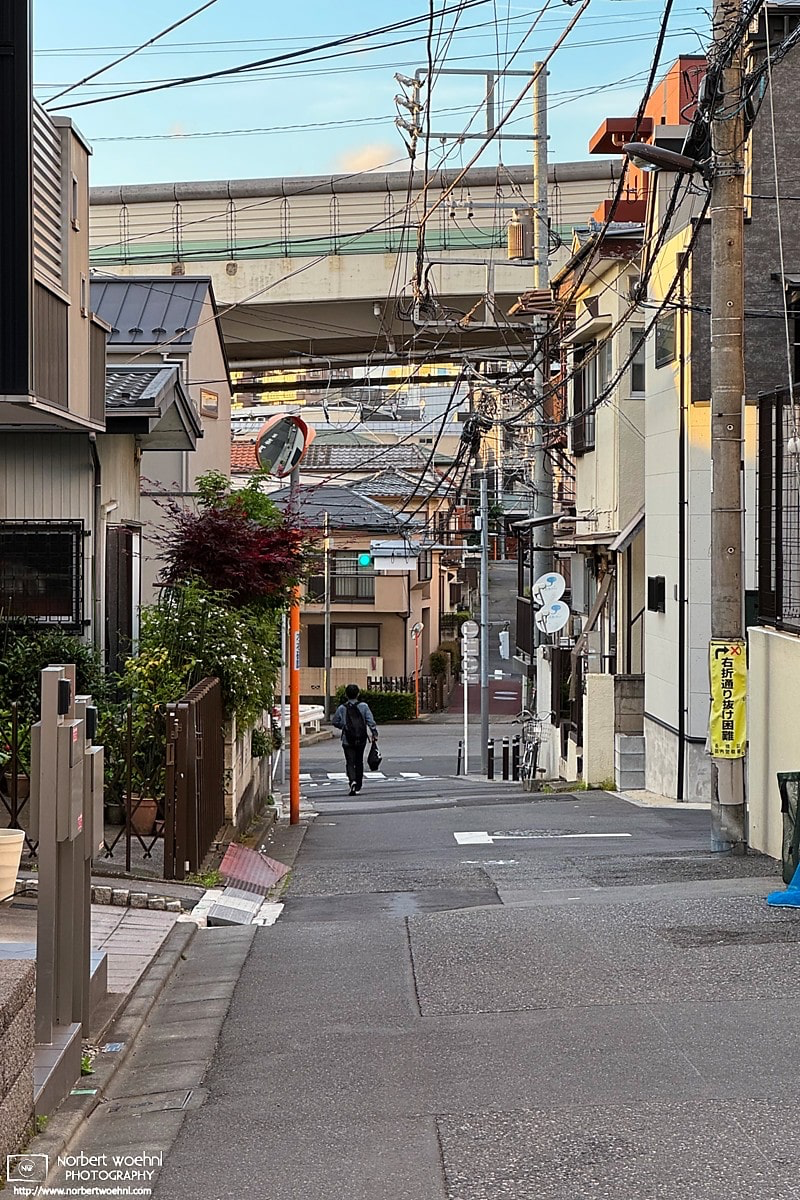 Enjoying a longer walk home this evening through the quiet streets of Izumicho in Itabashi, Tokyo, it appears I wasn't the only one going home at that time. © 2026 Norbert Woehnl Photography.