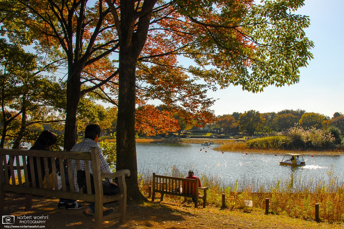 A calm autumnal scene of people watching a pedal boat passing by on a pond at Showa Memorial Park in Tachikawa on the western outskirts of Tokyo, Japan. © 2006 Norbert Woehnl Photography.