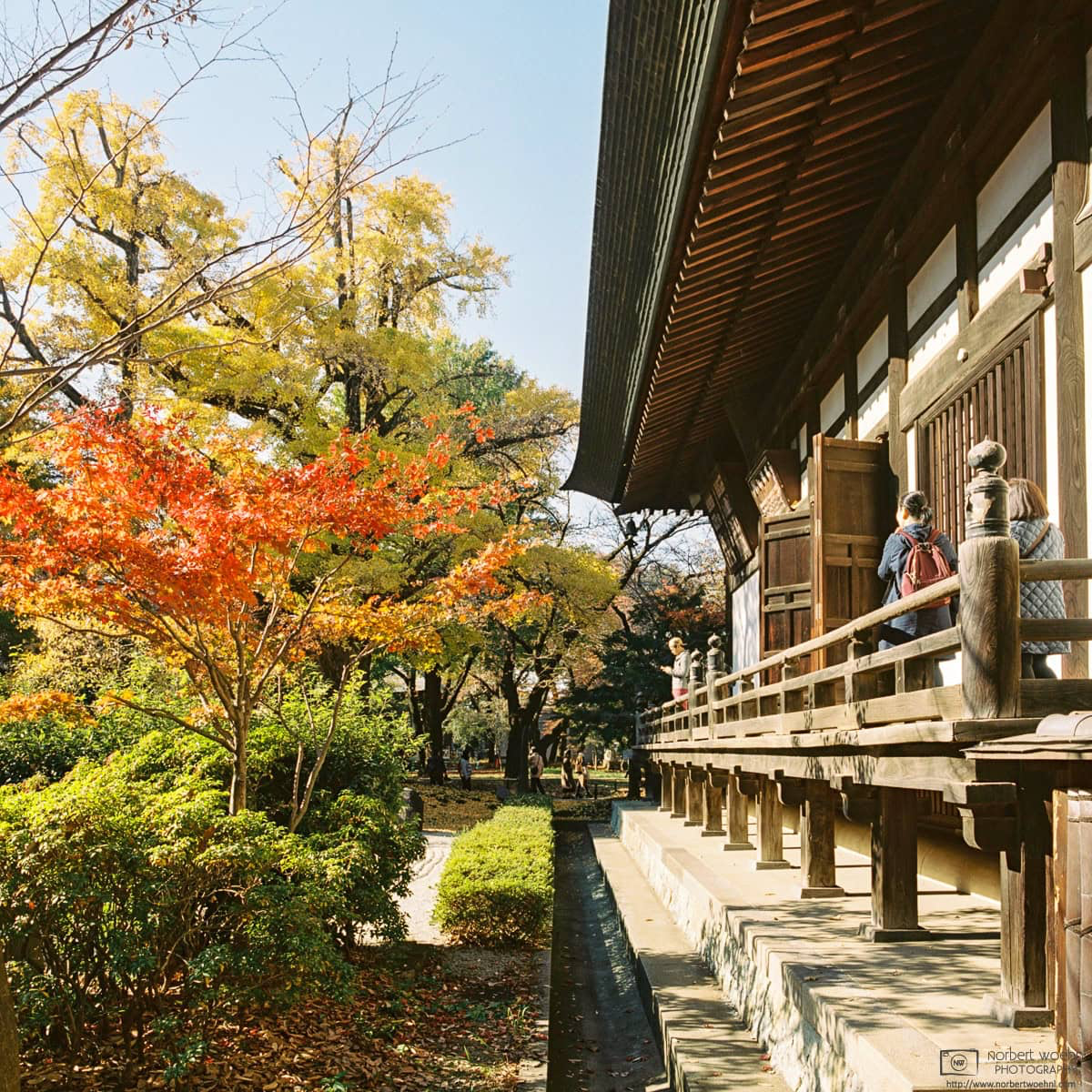 Joshinji, a Buddhist temple affiliated with the Jōdo sect located in the Setagaya Ward of Tokyo, Japan, is a popular destination for autumn leaf viewing. © 2018 Norbert Woehnl Photography.