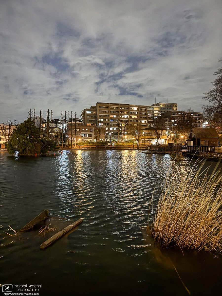 On the way back from work, a chilly winter breeze was agitating the usually quiet surface of the pond at Mitsugi Park in the Itabashi Ward of Tokyo, Japan. © 2026 Norbert Woehnl Photography.