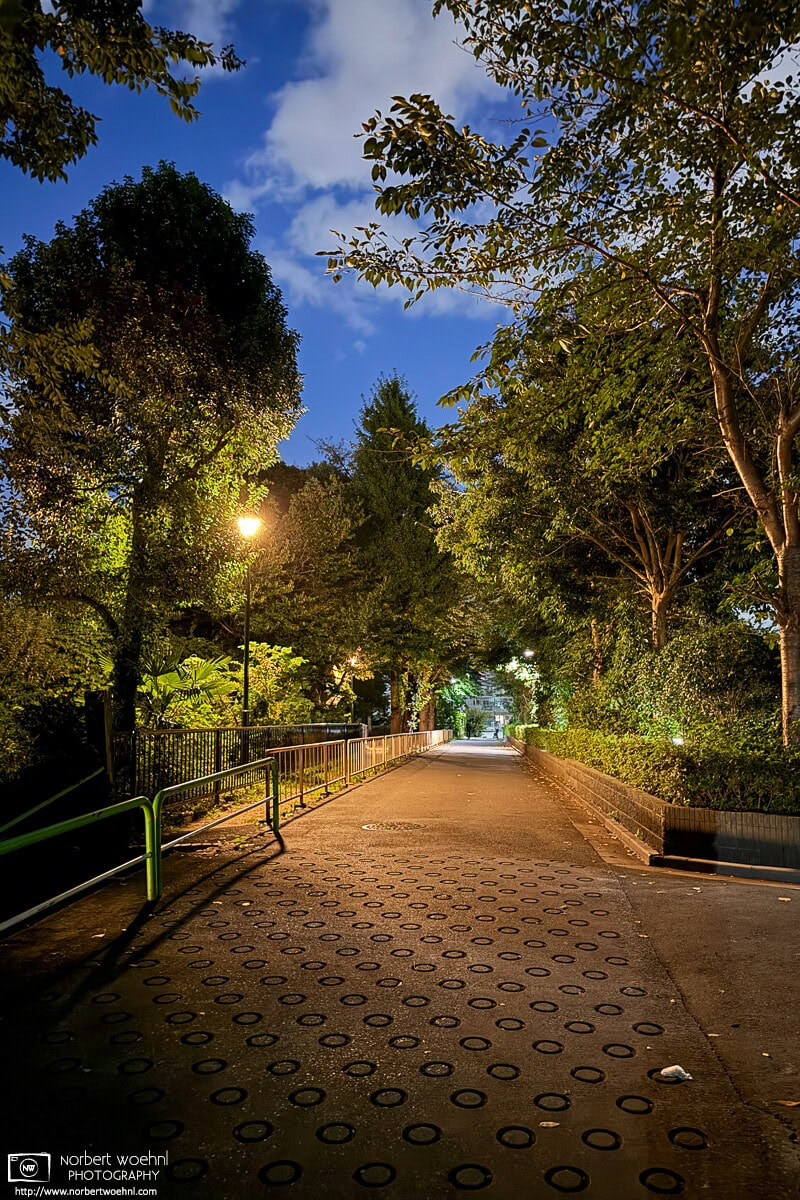 Backstreet night photo from the Shimura area of Itabashi Ward in Tokyo, Japan. © 2025 Norbert Woehnl Photography.