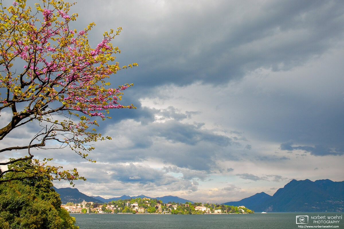 This photo was taken on Isola Madre, one of the three Isole Borromee inside Lago Maggiore, while visiting the Botanical Gardens. A heavy rainfall was approaching, and there was a special lighting ambience for a short time. The scenery in the background is the Isolino San Giovanni and the town of Verbania. © 2006 Norbert Woehnl Photography.