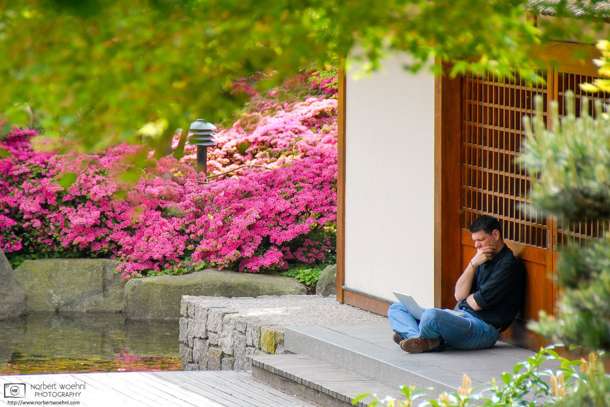 At the Japanese Garden at Planten un Blomen in Hamburg, Germany, a man is captured looking at a laptop computer screen in deep thought. © 2011 Norbert Woehnl Photography.