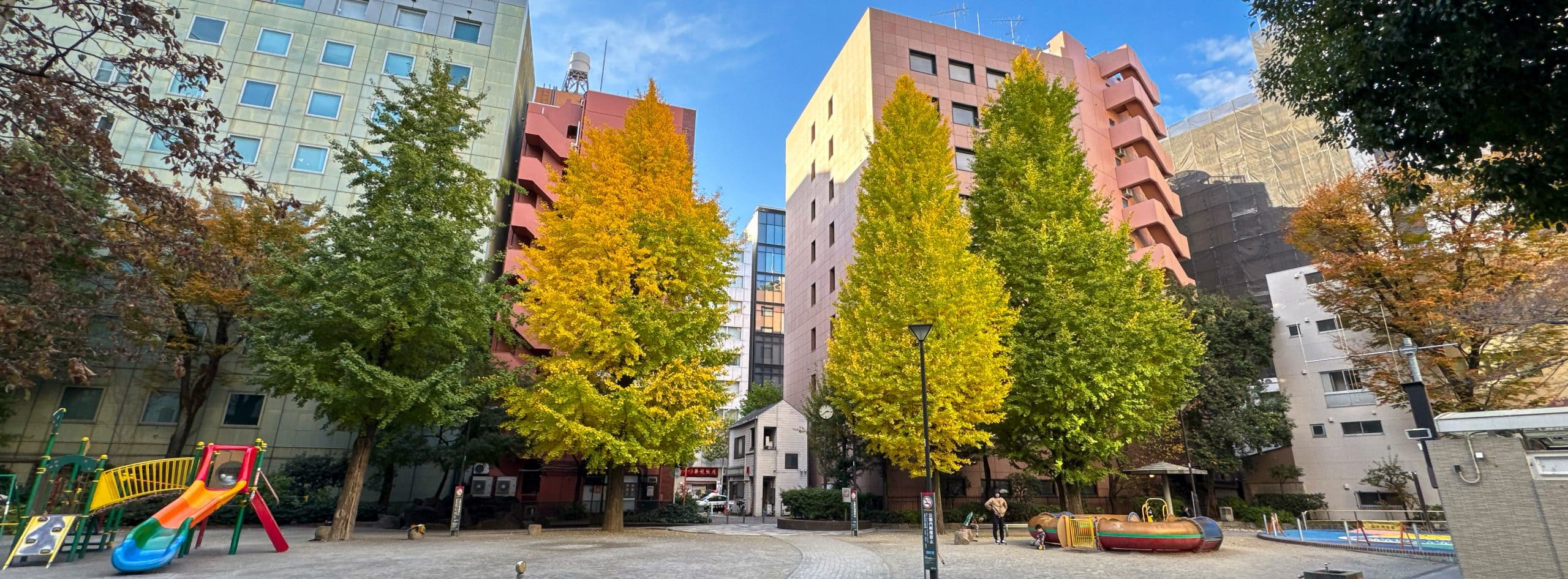Autumnal street scene from Kanda Children’s Park in the Kandatsukasamachi area in Chiyoda Ward, Tokyo, Japan. © 2025 Norbert Woehnl Photography.