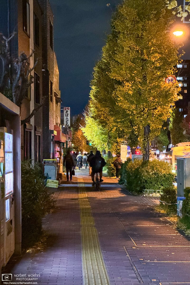 Just a brief moment in time from Itabashi Ward in Tokyo, Japan, walking back home tonight after my kickboxing training. © 2025 Norbert Woehnl Photography.