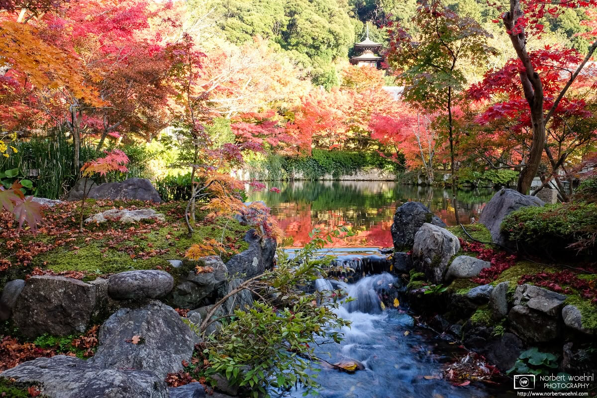 Colorful autumn foliage at Eikandō Zenrin-ji Temple in Kyoto, Japan. © 2013 Norbert Woehnl Photography.