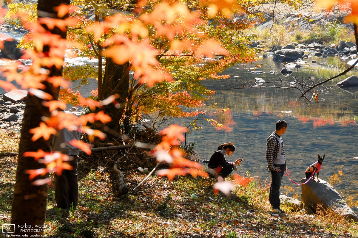 A young couple and their dog are enjoying a relaxing moment of autumn-leaf viewing at Ukan Gorge in Okayama Prefecture, Japan. © 2010 Norbert Woehnl Photography.
