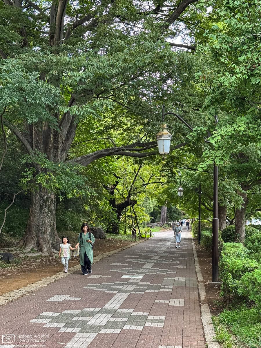 Pedestrian sidewalk outside the western campus of Hitotsubashi University in Kunitachi, Tokyo, Japan. © 2025 Norbert Woehnl Photography.