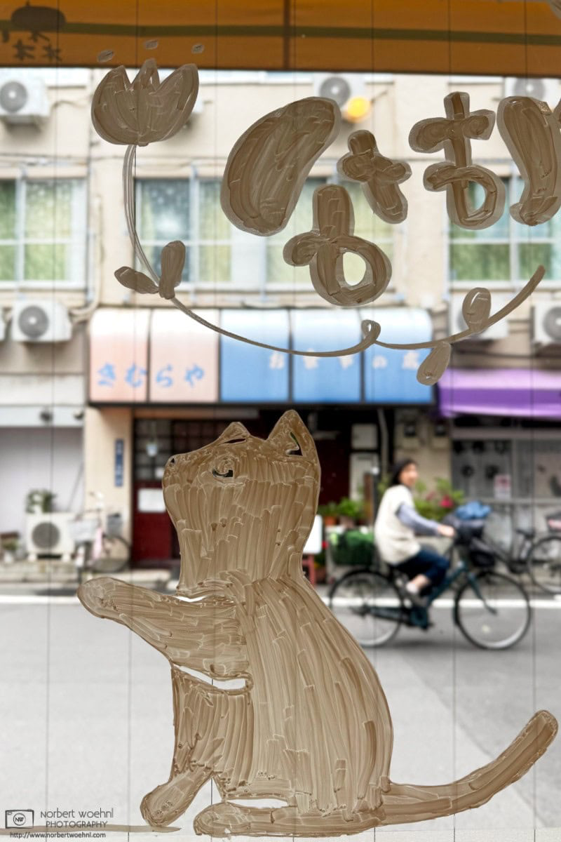 Through a window painted with a cat silhouette, we are looking at a suburban street with a bicycle passing in front of an old restaurant. © 2026 Norbert Woehnl Photography.