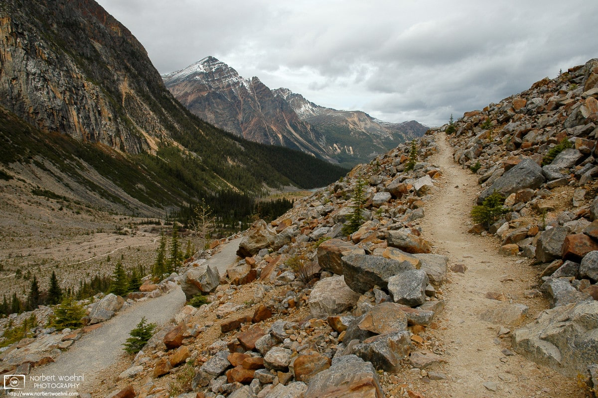 A scenic view on an overcast day along the lower area of Cavell Meadows Trail in Jasper National Park in the Canadian Rockies. © 2005 Norbert Woehnl Photography.