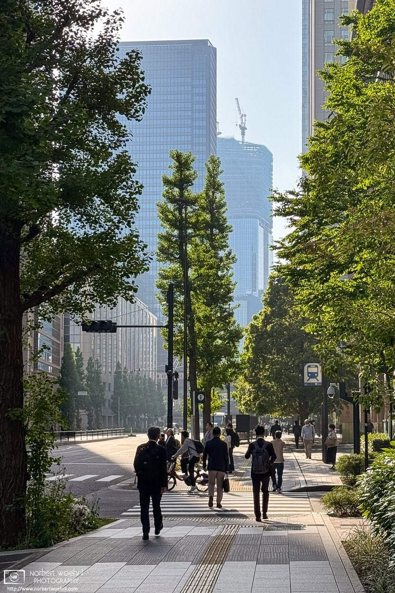 Early-morning scene between high-rise buildings in the Marunouchi district of Tokyo, Japan. © 2025 Norbert Woehnl Photography.