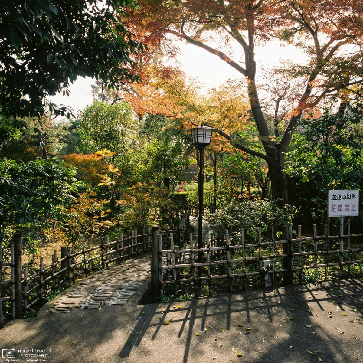 Small garden at a side entrance of Nakain Temple in Kawagoe, Saitama Prefecture, Japan. © 2021 Norbert Woehnl Photography.