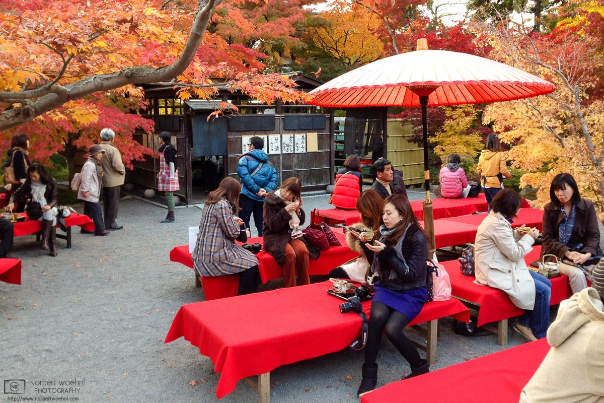 Seating area at Eikando Zenrin-ji Temple in Kyoto, Japan, during autumn season. © 2013 Norbert Woehnl Photography.
