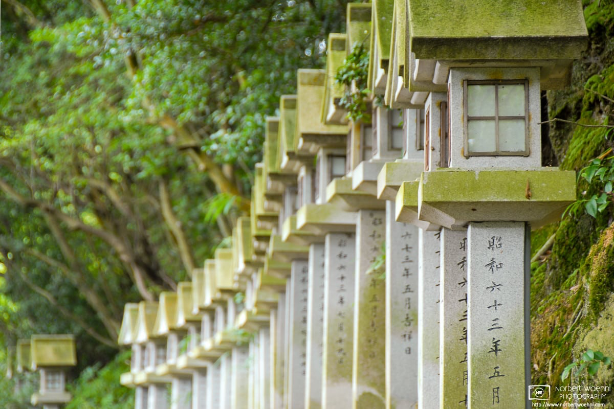 A perspective shot along a line of stone lanterns at Yugasan Rendaiji Temple in Kurashiki, Japan. © 2010 Norbert Woehnl Photography.