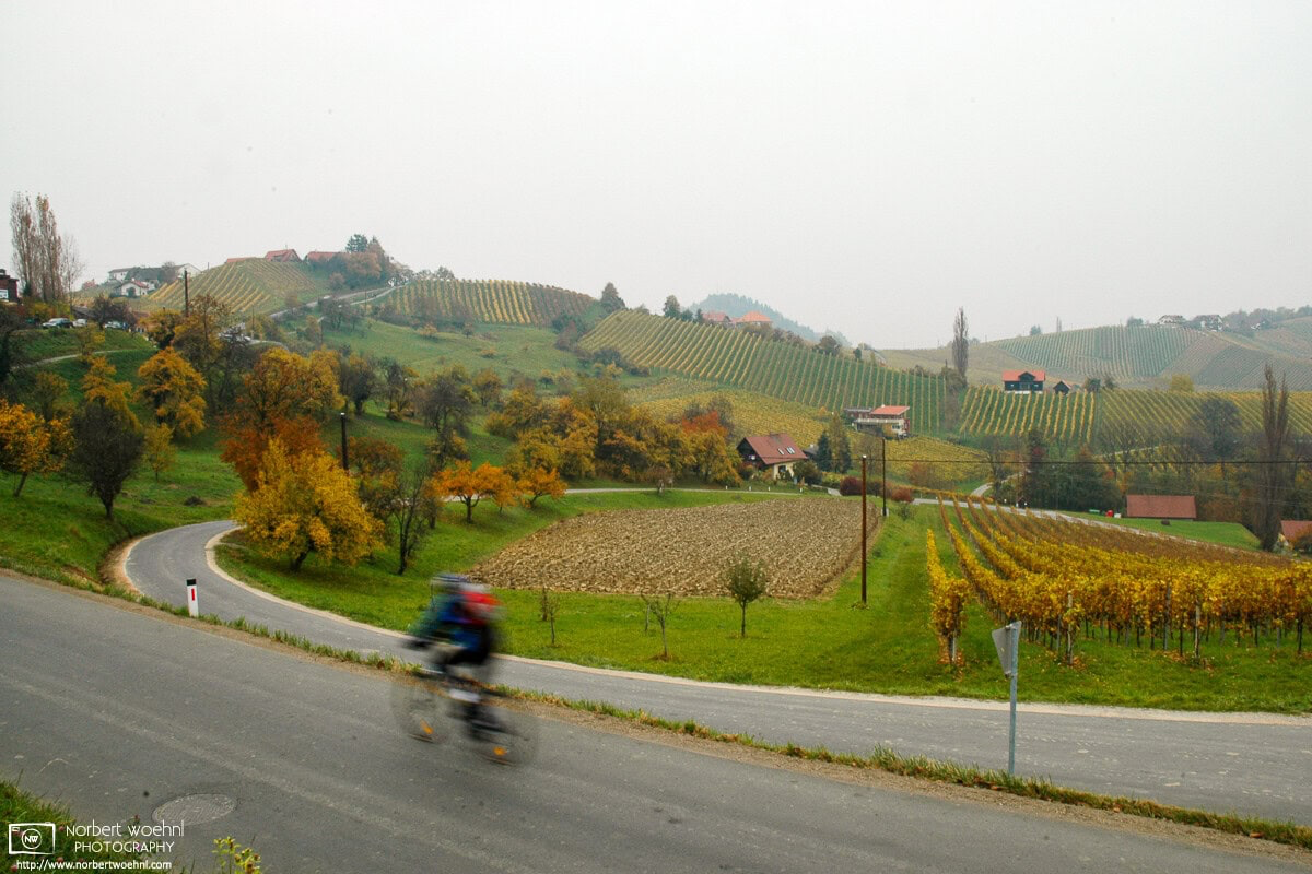 On an overcast autumn day, a bicyclist is speeding along Südsteirische Weinstraße (South Styrian Wine Route) near the village of Ratsch, Austria. © 2005 Norbert Woehnl Photography.