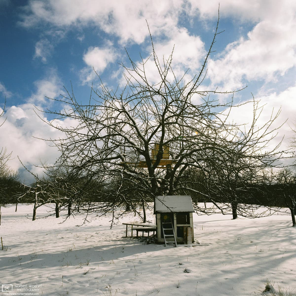 A winter scene from countryside apple orchards in the southwest-German village of Nehren. © 2016 Norbert Woehnl Photography.
