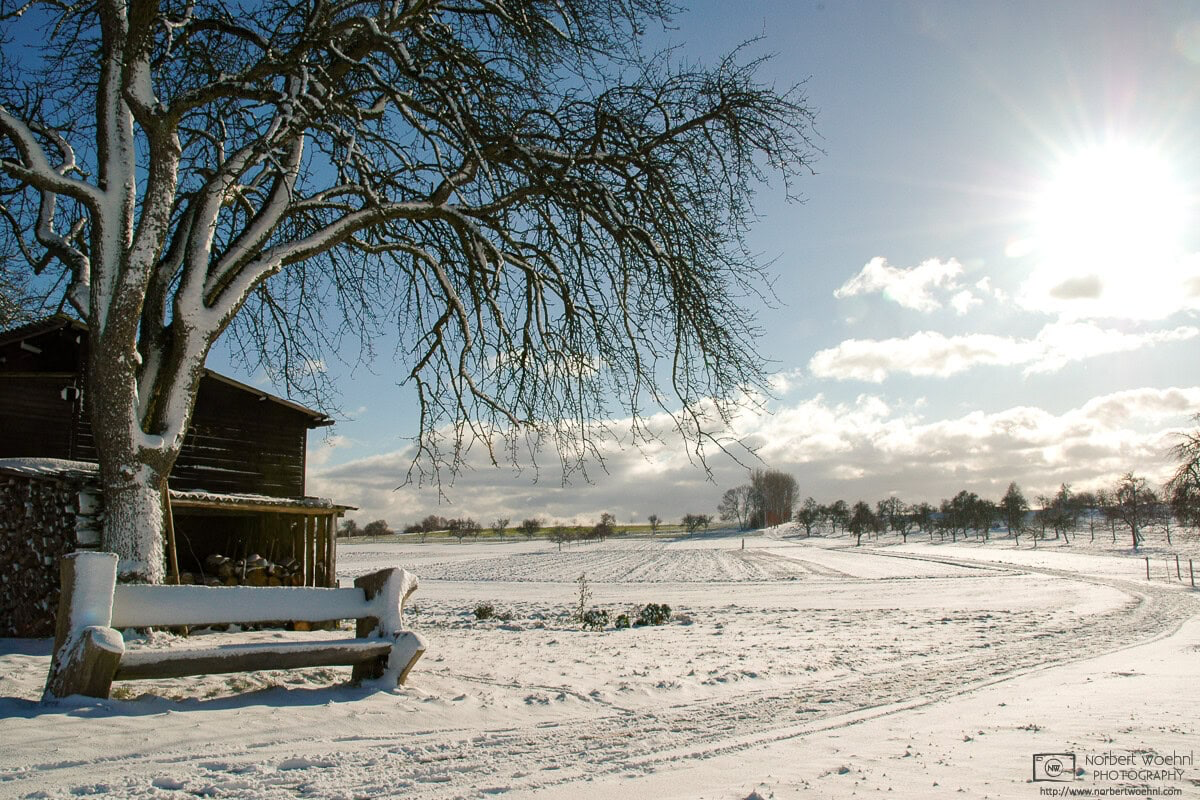 Impression from a walk on a crisp winter day around the orchards outside the village of Pliezhausen in southwestern Germany. © 2005 Norbert Woehnl Photography.