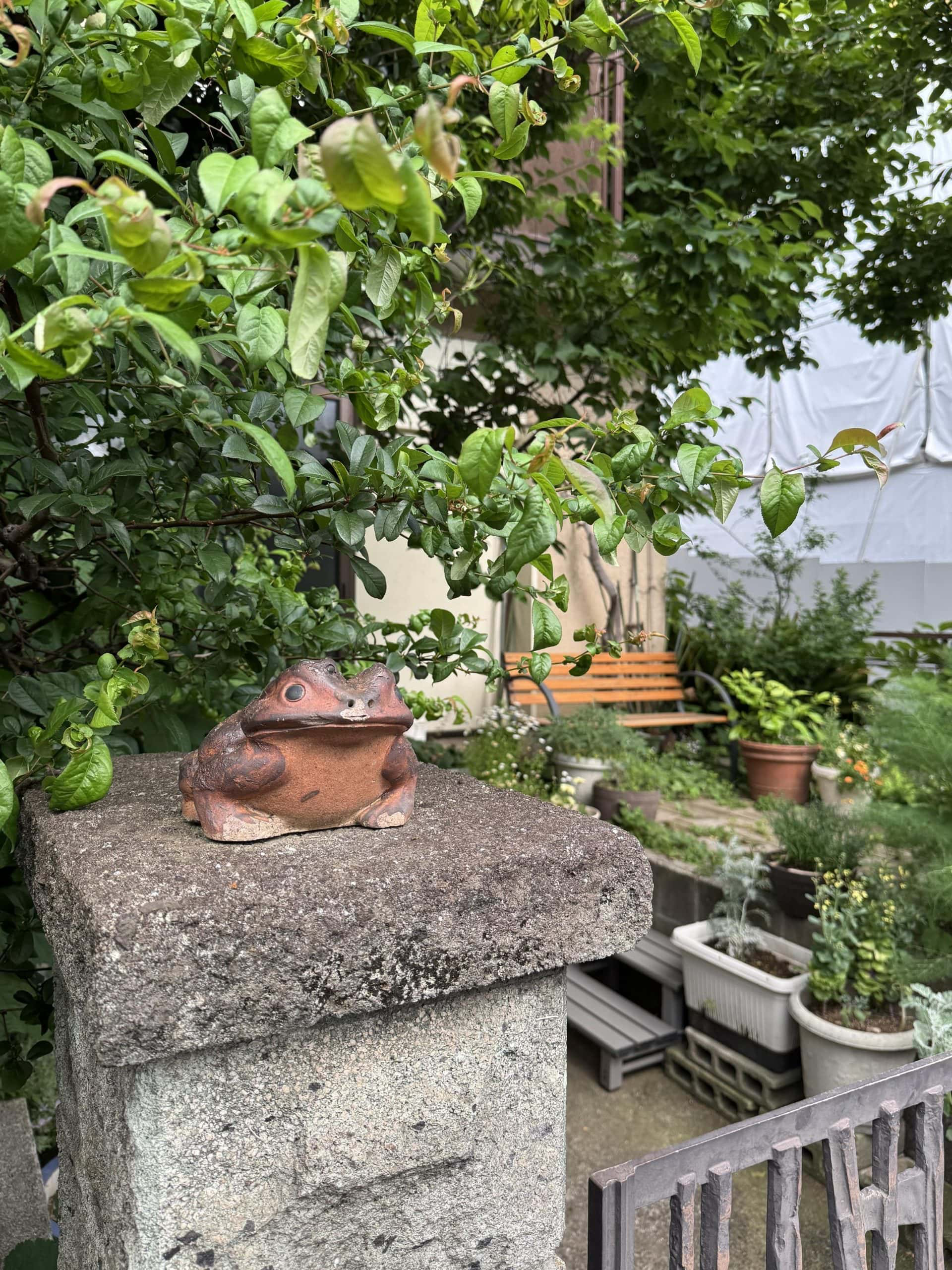 Decorative frog outside a home in the Shimura area of Itabashi Ward on Tokyo, Japan. © 2026 Norbert Woehnl Photography.