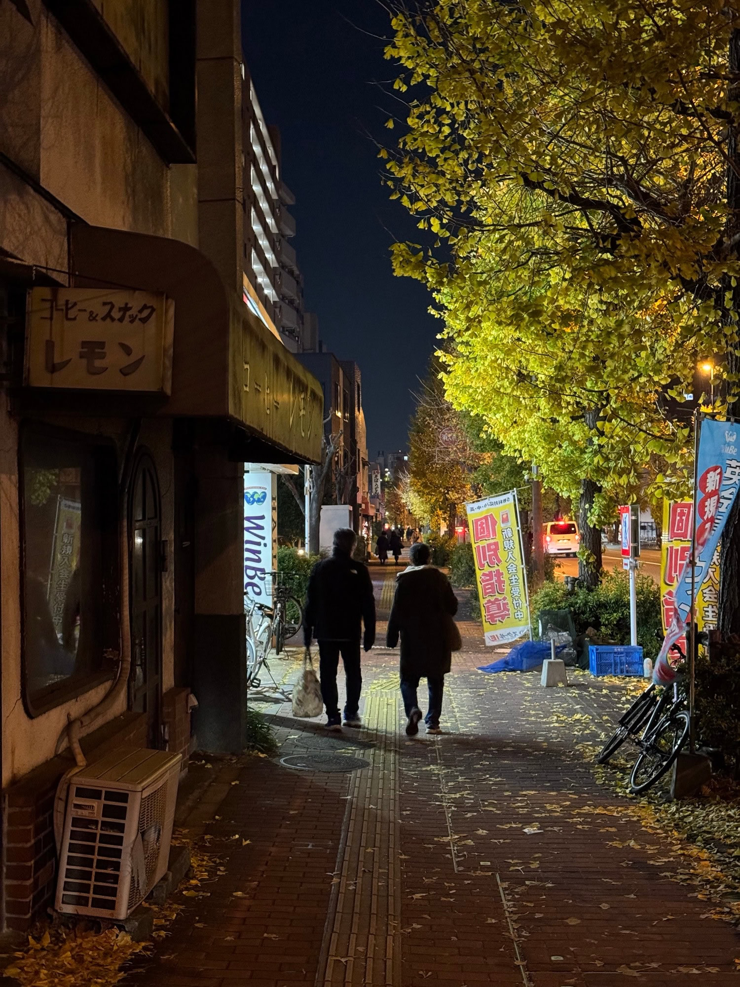 Quiet sidewalk scene on my walk home after training in the Itabashi Ward of Tokyo, Japan. © 2025 Norbert Woehnl Photography.