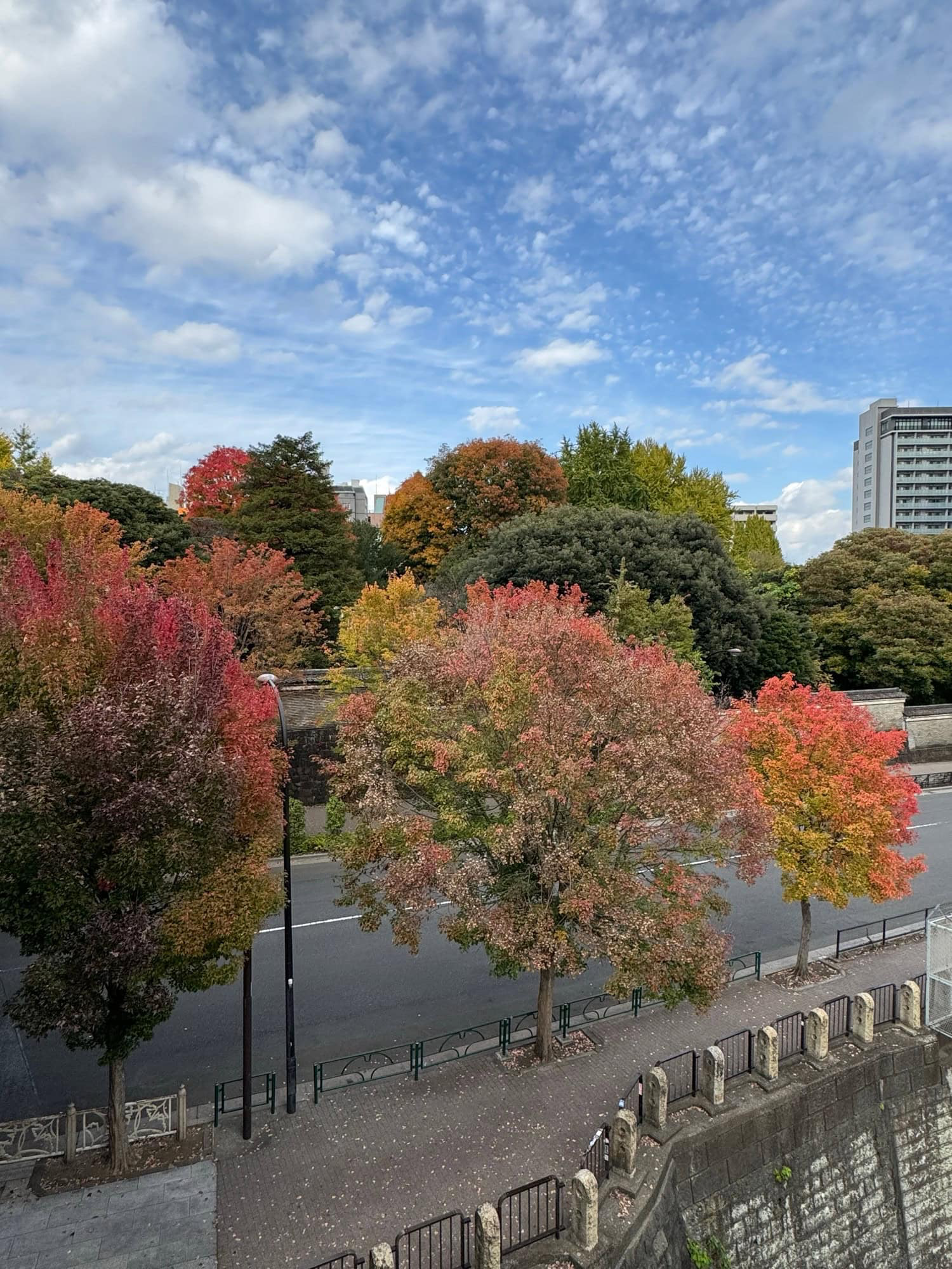 Early autumn colors seen from Hijiribashi Bridge in Tokyo, Japan. © 2025 Norbert Woehnl Photography.