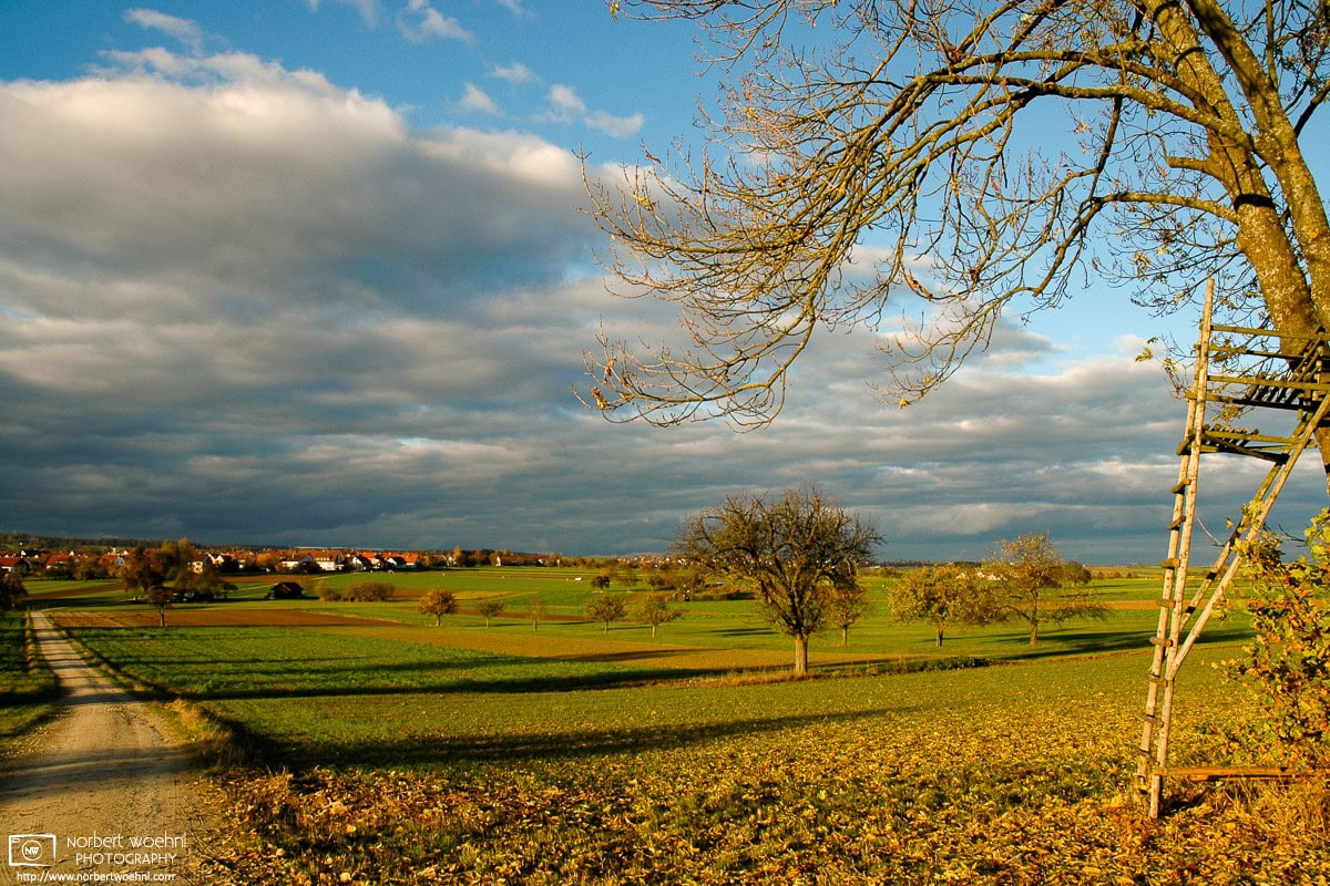 Scene from the fields and orchards outside the southwest-German village of Pliezhausen on a sunny autumn afternoon. © 2004 Norbert Woehnl Photography.